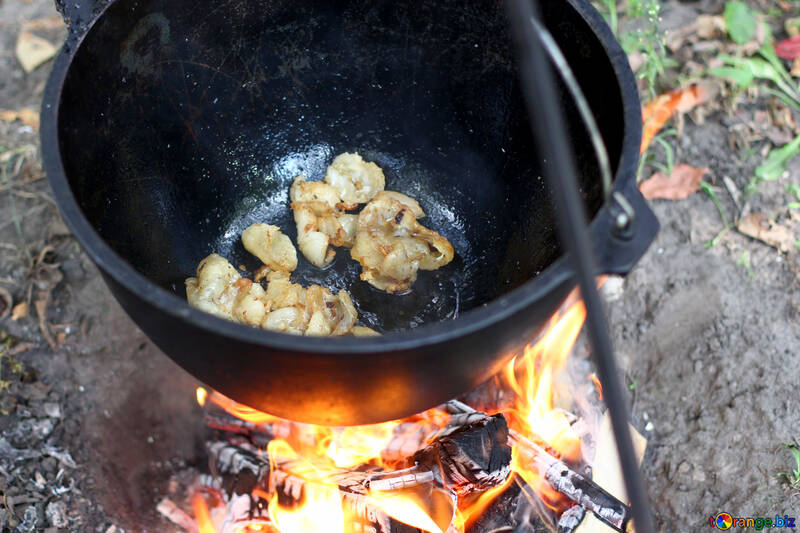 キャンプファイヤーでエビを調理する肉脂肪燃焼火の食べ物 №55482