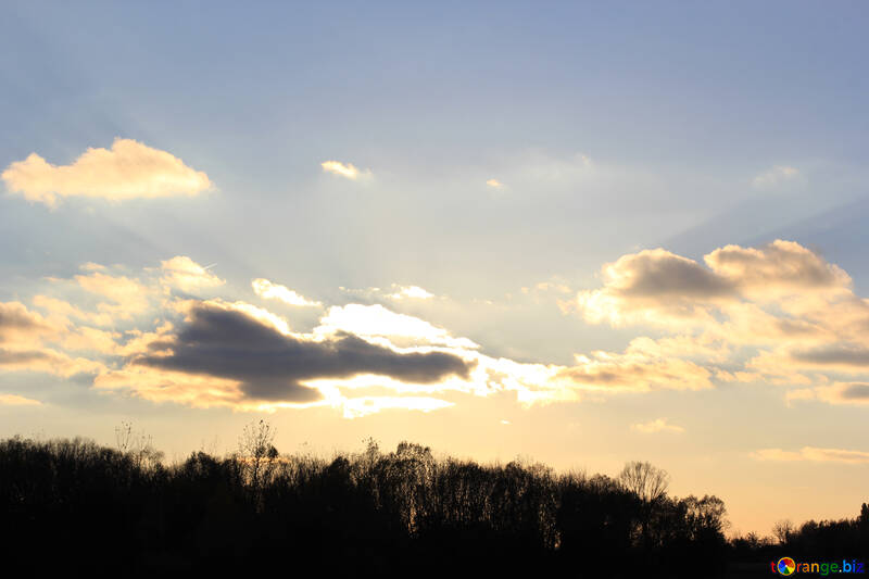 Cielo de la tarde con nubes y naturaleza al atardecer. №55263