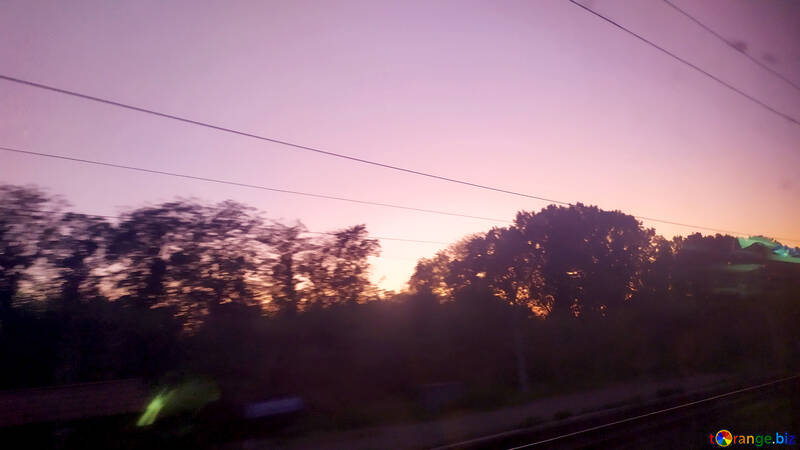 Stromleitung Blick von einem Zug Sonnenuntergang Bäume №55892