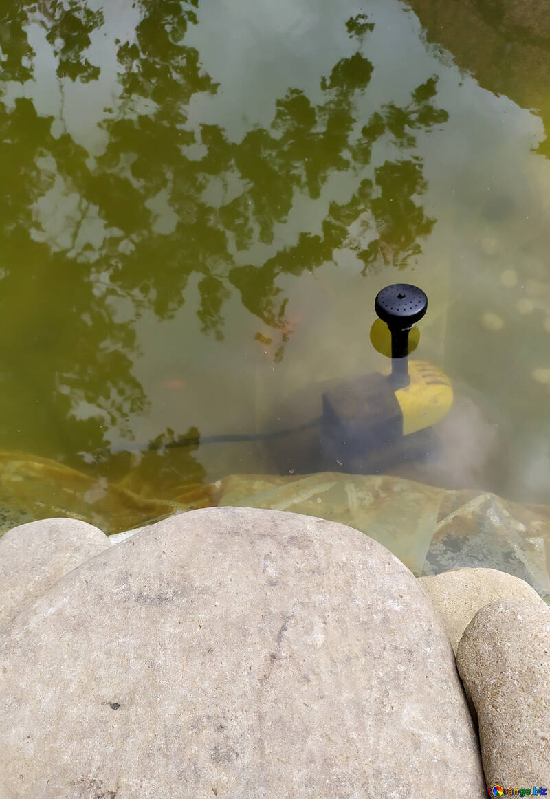 Pond with fountain water sprinkler №55790