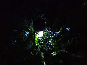 Garden lamp at night №56536