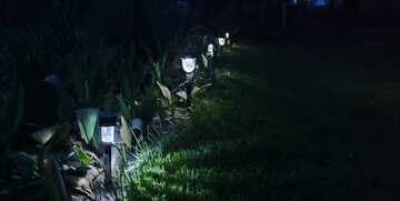 Lanterns on the lawn at night №56767
