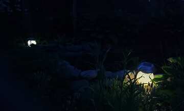 Lanternas noturnas perto da lagoa №56768