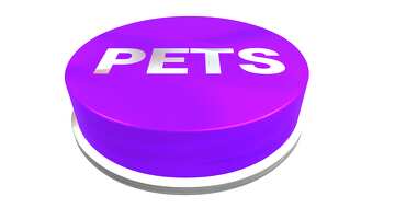 Botón de mascotas PNG transparente №56355