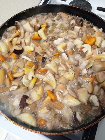 Roast with mushrooms  №56557