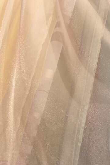 Transparent fabric №56641