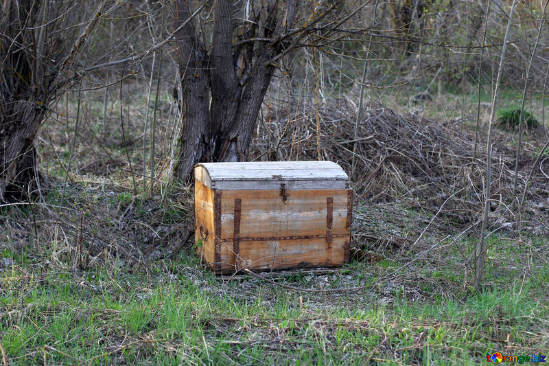 Antiga caixa de trovão na floresta, você pode usá-la enquanto acampa №56078