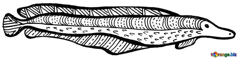 Draw long fish clip art №56193
