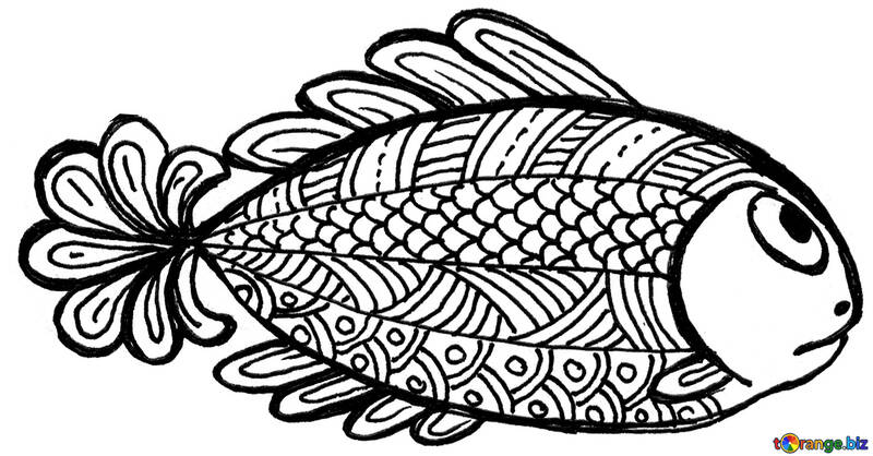 fish clipart hand draw №56189