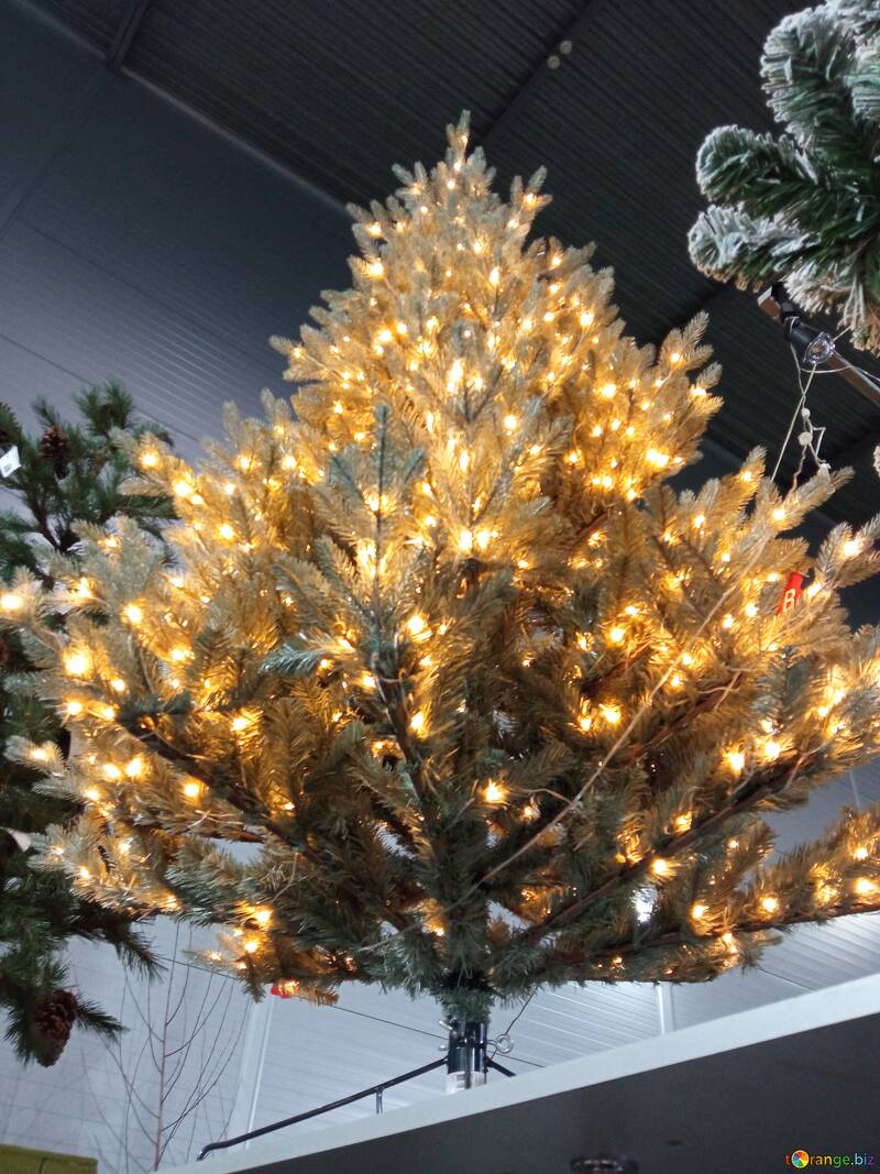 Décoration de fête : sapin de Noël illuminé avec des lumières chaleureuses №56693