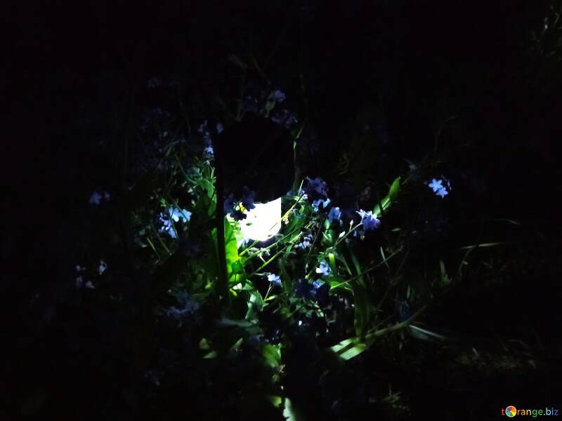 Garden lamp at night №56536