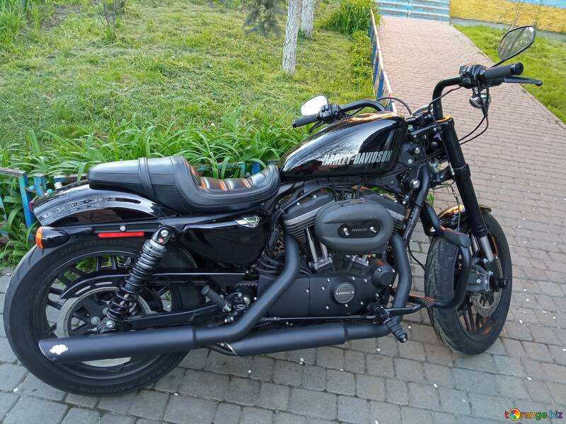 Harley Davidson motorcycle  №56514