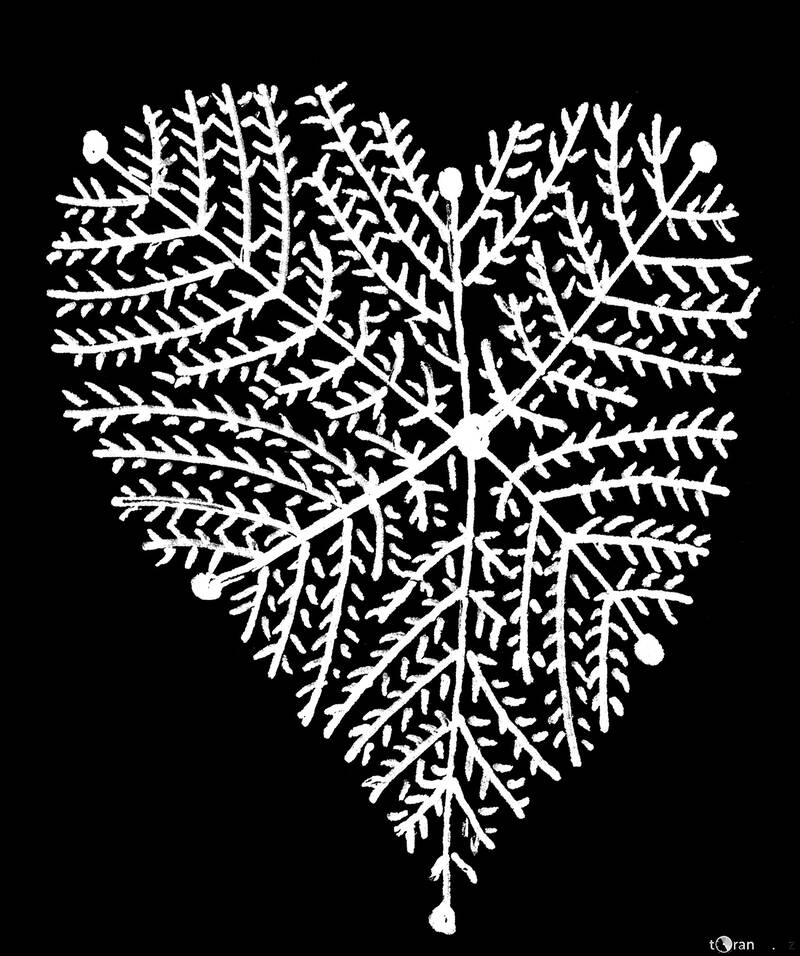 Heart draw snowflake clipart №56184
