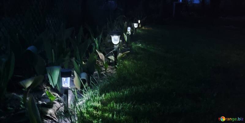 Ліхтарики вночі на газоні №56767