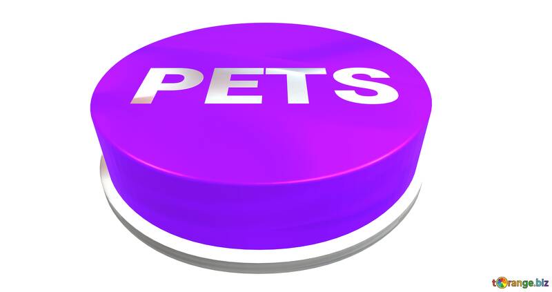 Pets button transparent png №56355