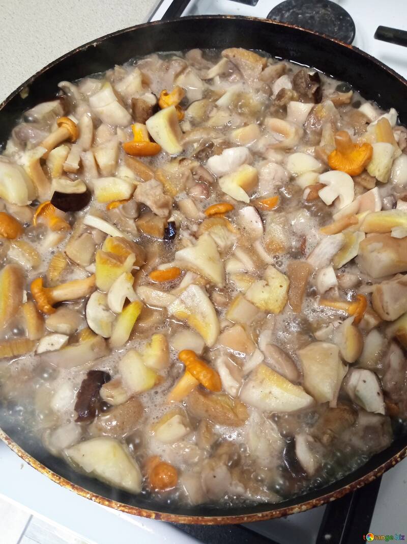 Roast with mushrooms  №56557