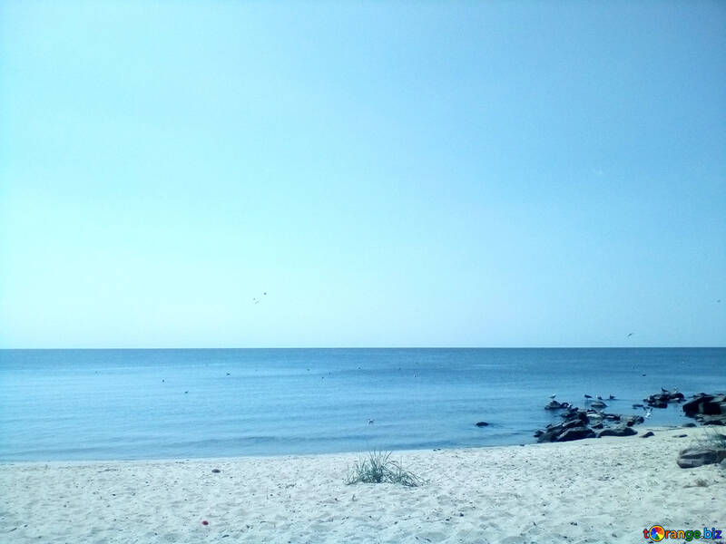 Playa del mar №56145