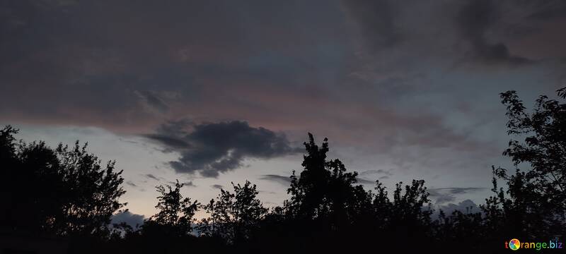 Serene Twilight Skies: A Dusk Landscape with Silhouetted Trees №56976