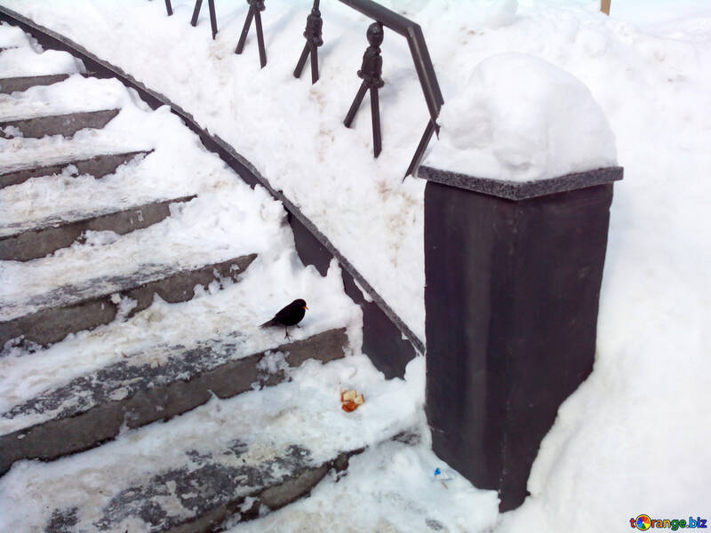 neige sur les marches escaliers №56123