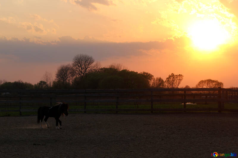 Coucher de soleil dans une ferme de paysage de prairie avec coucher de soleil №56104