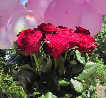 Beautiful Red Roses Bouquet with Pink Balloons for Celebrations №57019
