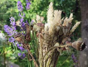 Dried Lavender and Grasses Bouquet - Nature`s Rustic Elegance №57018