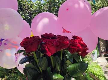 Stunning Red Roses with Pink Balloons for Celebrations №57020