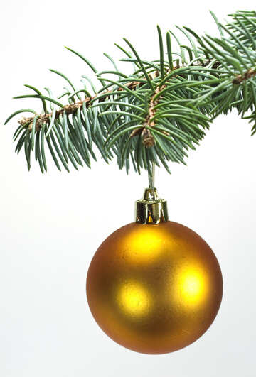 Toys  , Christmas tree ball on ,  branch.