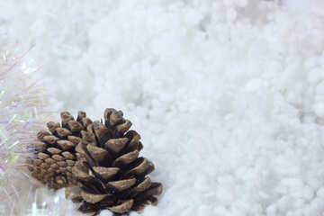 Cones   snow. №6406