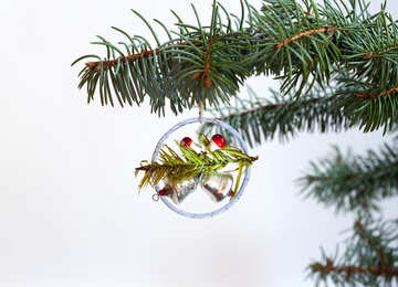 Glass  hoop . Christmas  Decoration  at  White  background №6769
