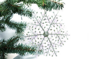 Fluffy  snowflake  at  tree. №6795