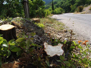 Crimean- Road  №6954
