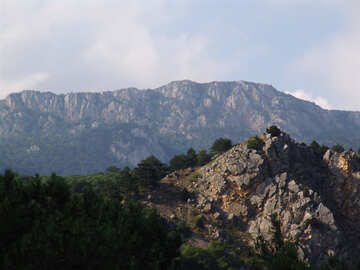 Paesaggio Montagne №6948
