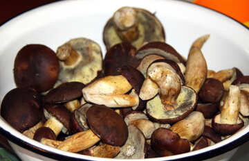 Shelled  mushrooms №6152