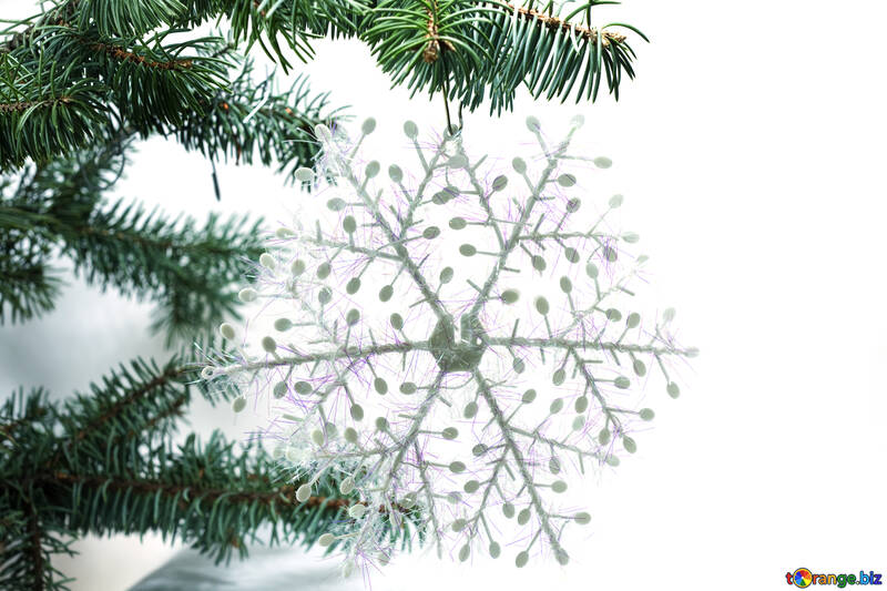 Fluffy  snowflake  at  tree. №6795