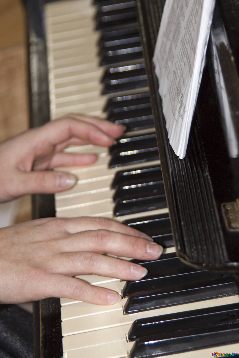 Hands  pianist №6157