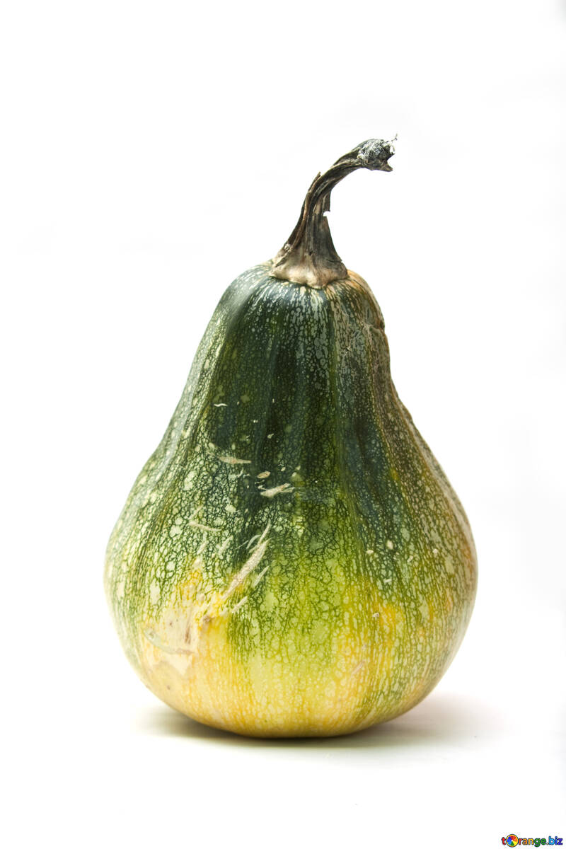 Гарбуз у формі груші №6001