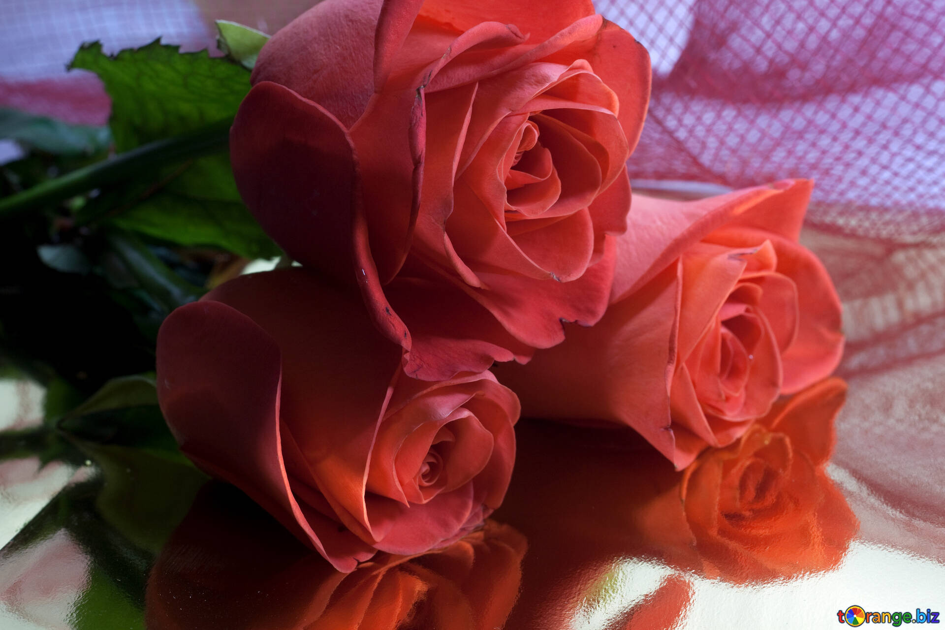 Красивой женщине красивые цветы картинки. Цветы для любимой женщины. Розы для милой женщины. Самые красивые цветы для любимой. Красивые розы для любимой.