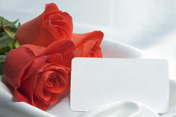 Букет роз с визиткой. Фон №7245