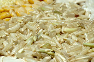 Corn  rice №7302
