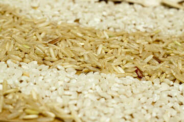 Рисовые зерна №7306