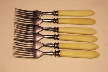 Oldest  forks №7362