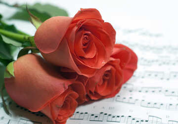 Roses  and  notes