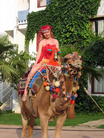 Girl  at  camel. №7841