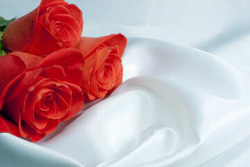 Букет троянд на робочий стіл для коханої. №7244