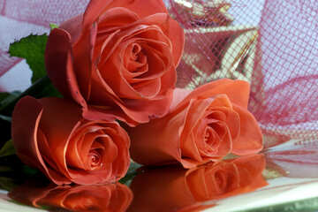 Bouquet  Roses