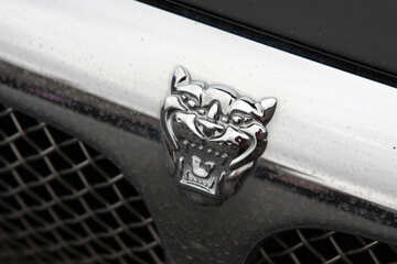 Ikone Jaguar №7579