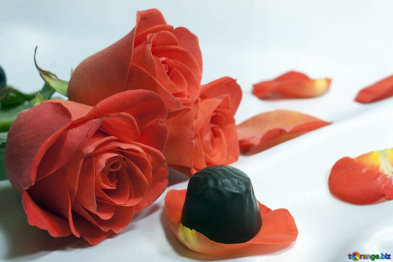 Chocolate  Candy  and  roses №7278
