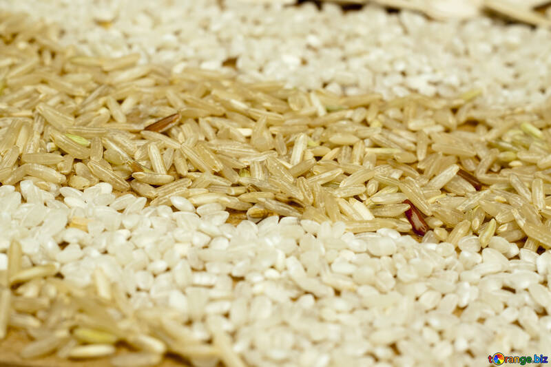 Rice  Grain №7306