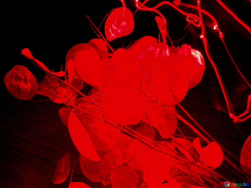 Rouge von . Tissu , feuilles. №7702